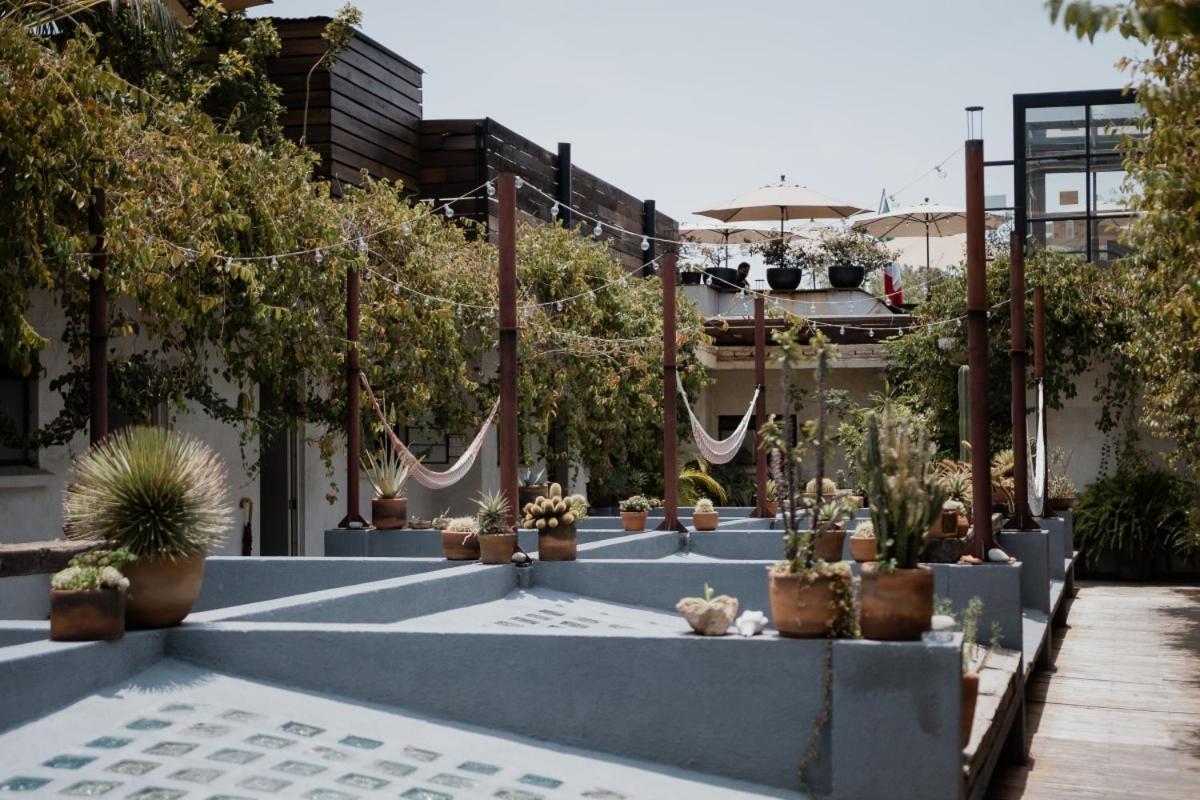 Casa Lomah Mexico City