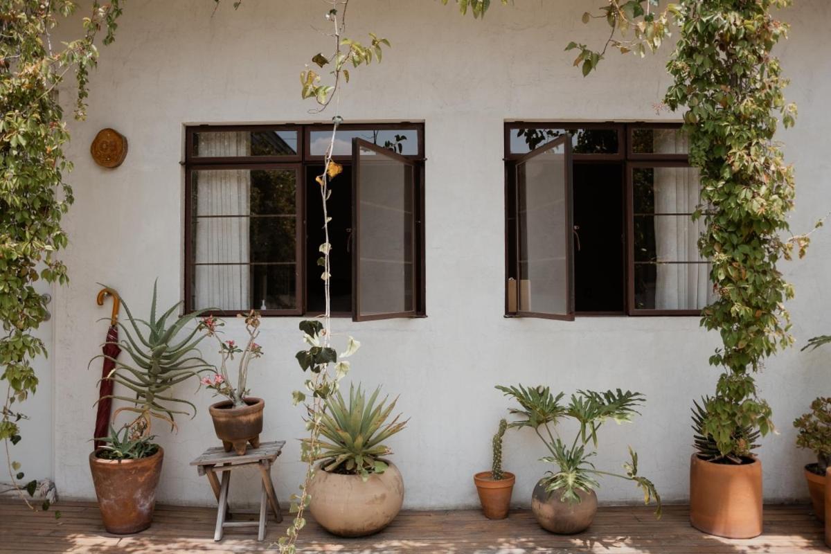 Casa Lomah Bed & Breakfast Mexico City