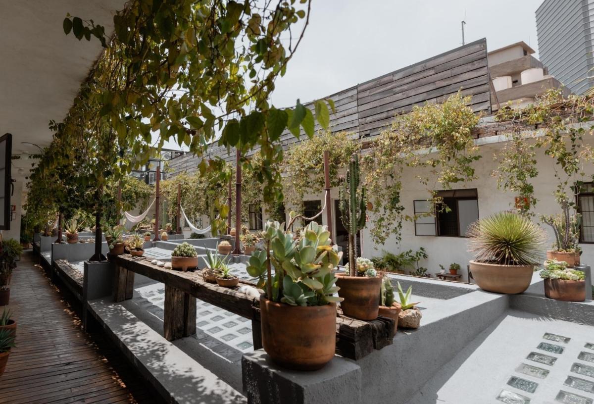 Bed & Breakfast Casa Lomah