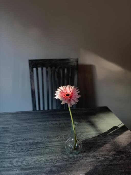 Hermoso Departamento En Coyoacan México DF