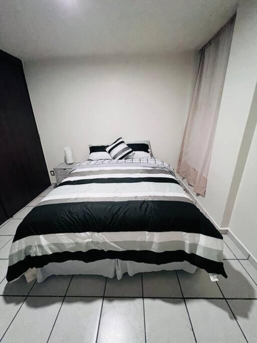 Apartamento Hermoso Departamento En Coyoacan México DF