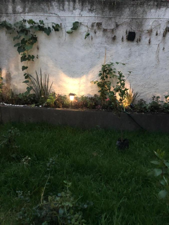 Frida * Mexico City