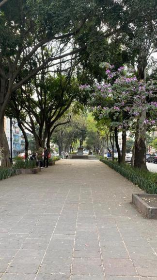 Vive Roma Cdmx Apartamento