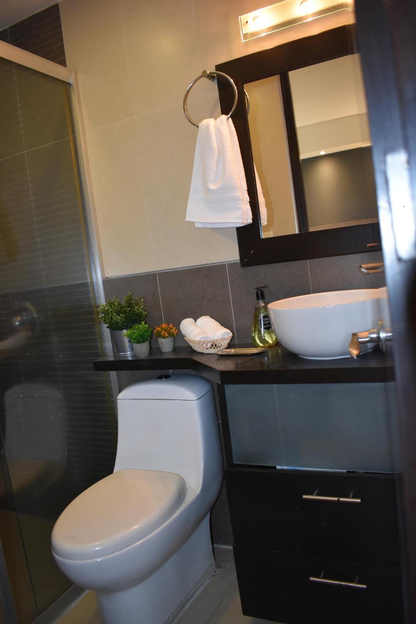 Vive Roma Cdmx Apartamento