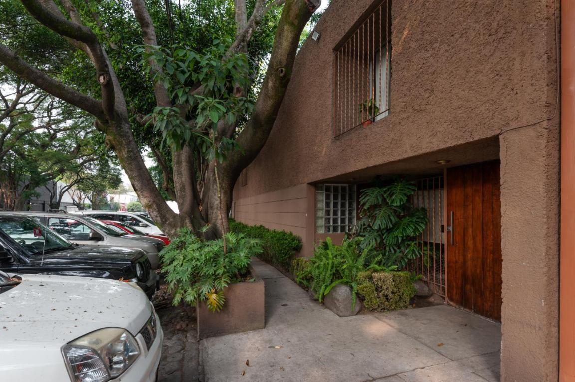 1-a Monasterio Garden House Welcome To San Angel Apartment Mexico City