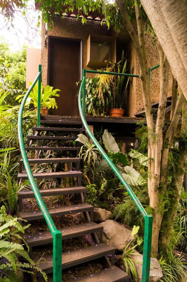 1-a Monasterio Garden House Welcome To San Angel Apartment