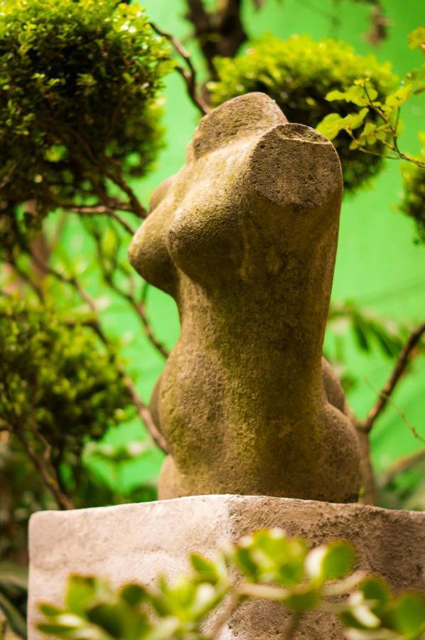 Apartment 1-a Monasterio Garden House Welcome To San Angel *