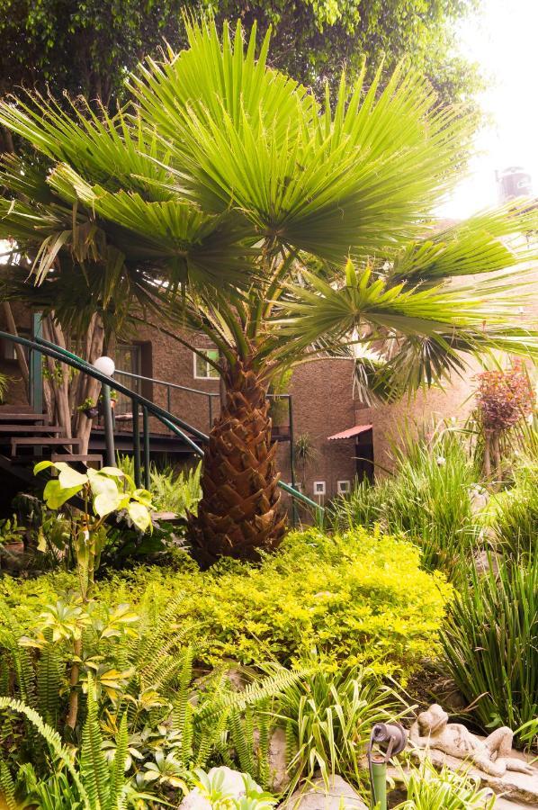 1-a Monasterio Garden House Welcome To San Angel *