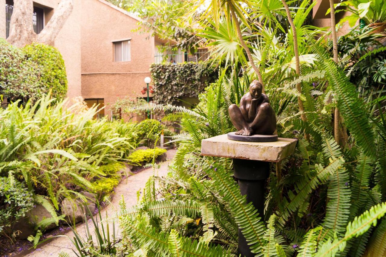 1-a Monasterio Garden House Welcome To San Angel