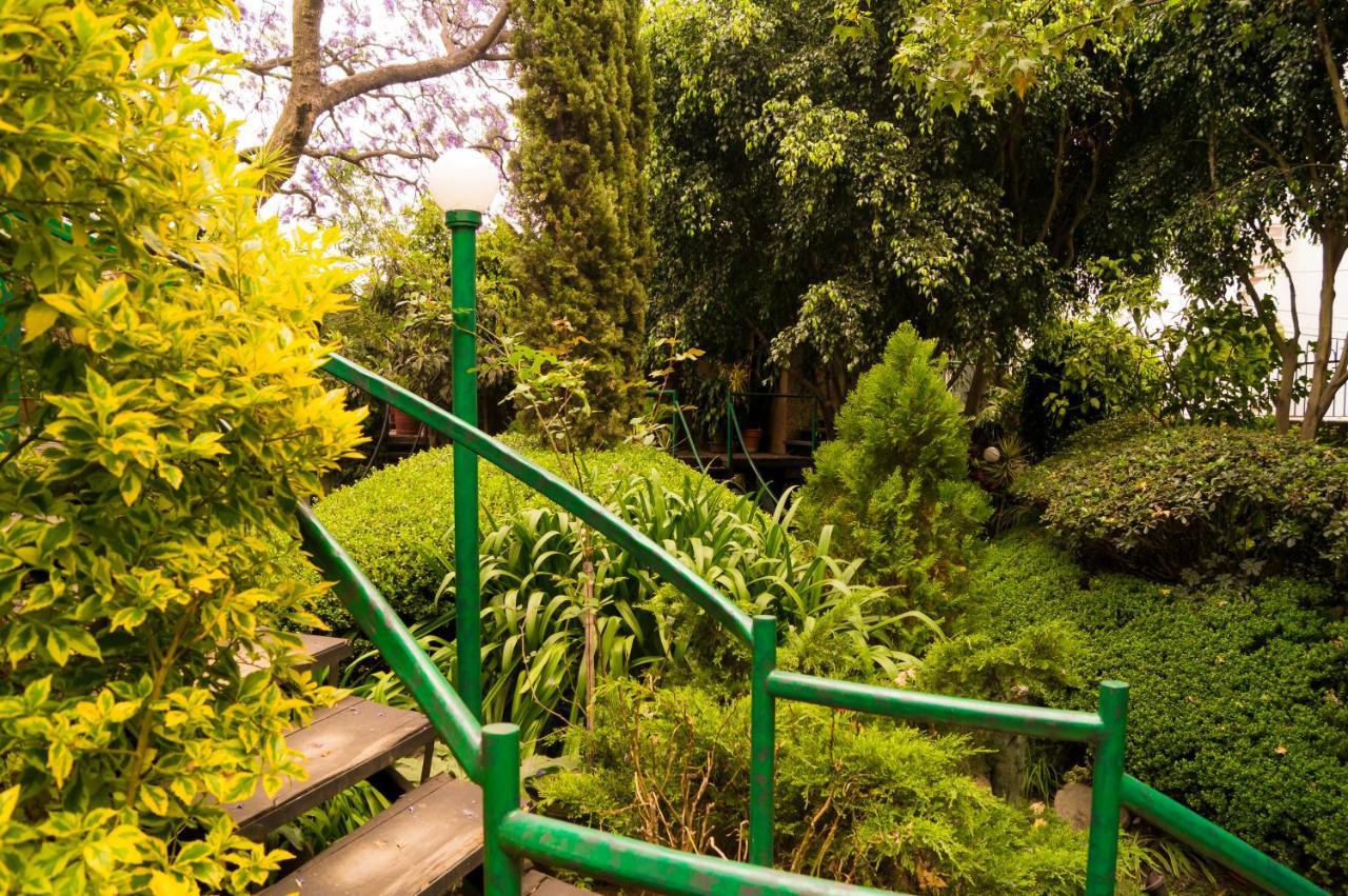 1-a Monasterio Garden House Welcome To San Angel Mexico City