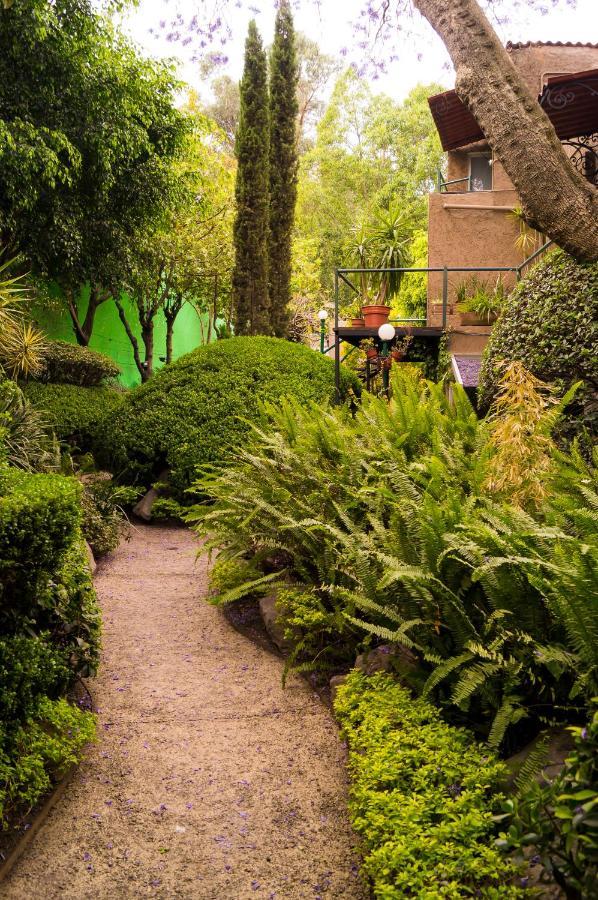 1-a Monasterio Garden House Welcome To San Angel Apartment *