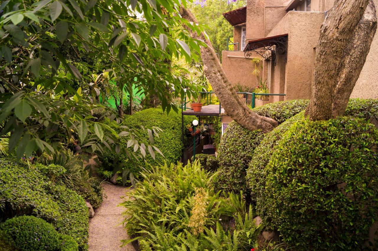Apartment 1-a Monasterio Garden House Welcome To San Angel