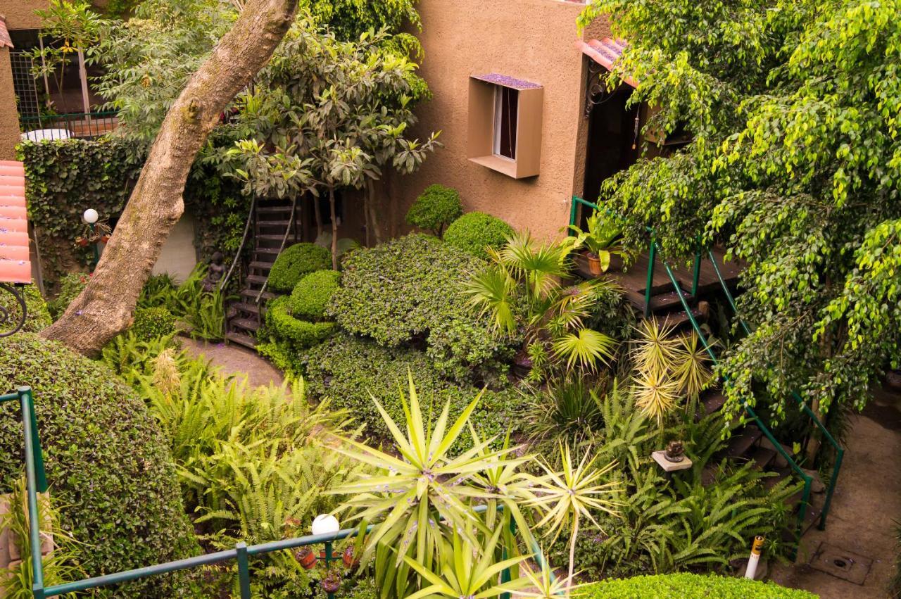 1-a Monasterio Garden House Welcome To San Angel Apartment Mexico City