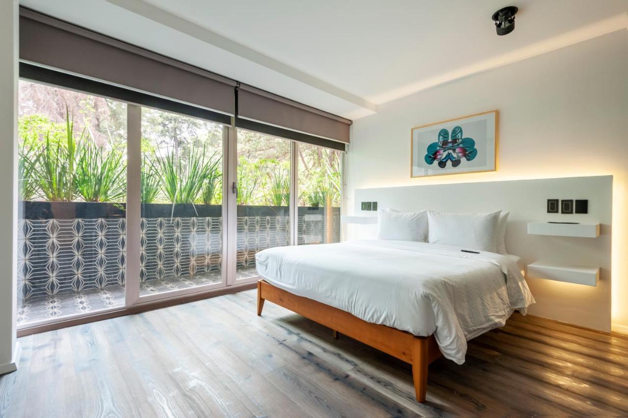 Amazing 2br In Polanco