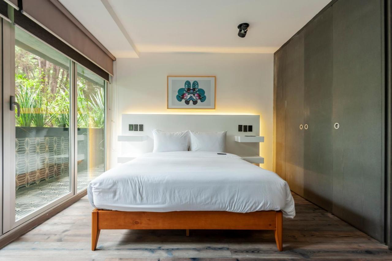 Amazing 2br In Polanco