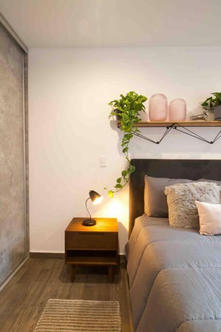 Hermoso Departamento En El Corazon De La Roma