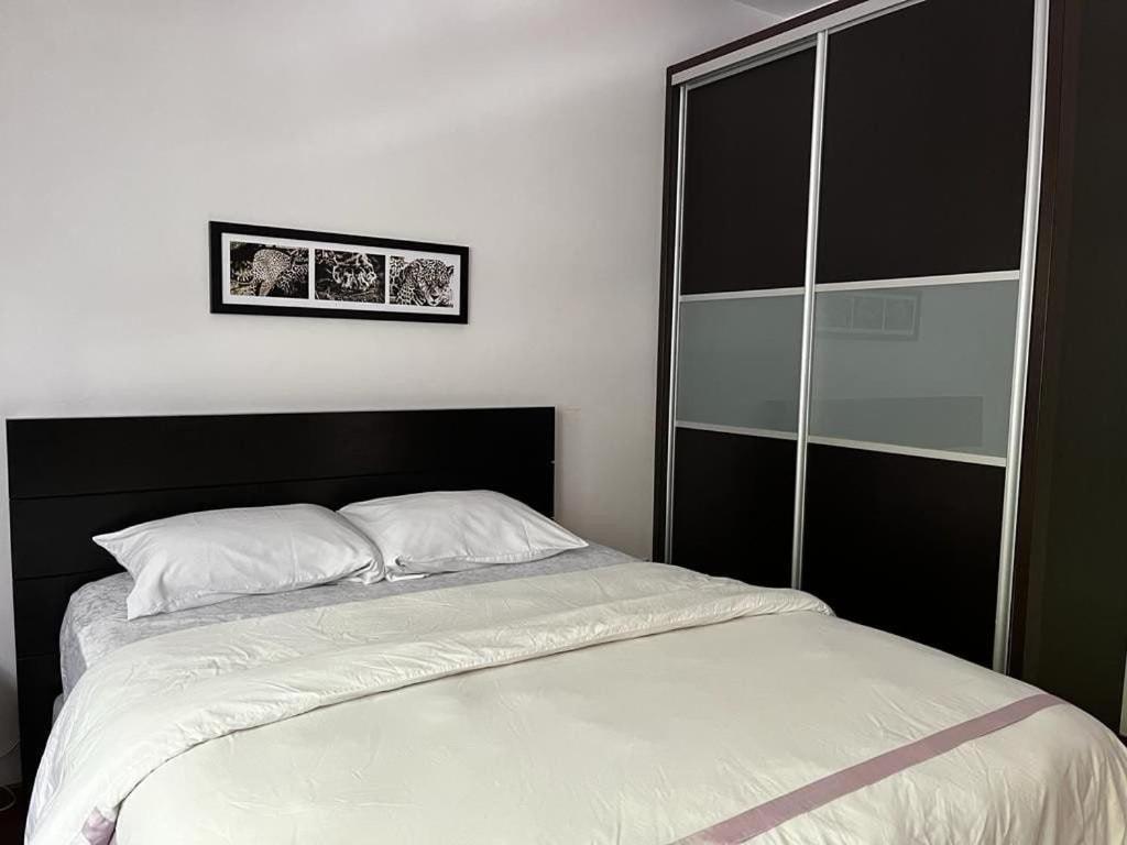 Apartamento Condesa Amsterdam D Sunny 2bed 1bath In Condesa *