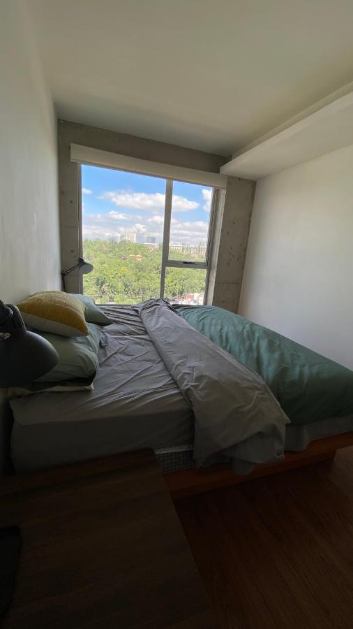 Zamora Condesa Departamento Apartamento