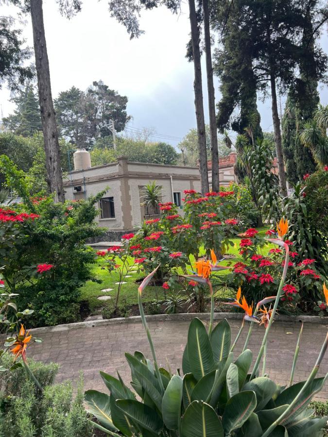 Express Quinta Soledad Casa de hóspedes Cidade do México