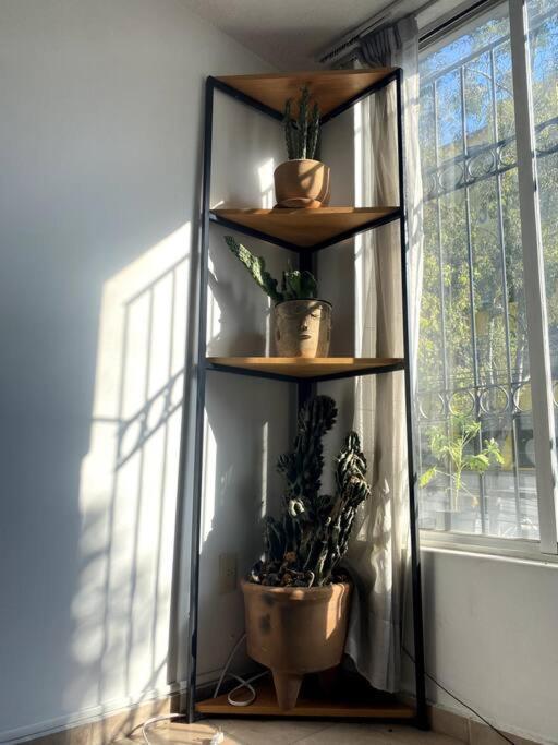 Spacious 3 Bed +2 Bath In Roma N Mexico City