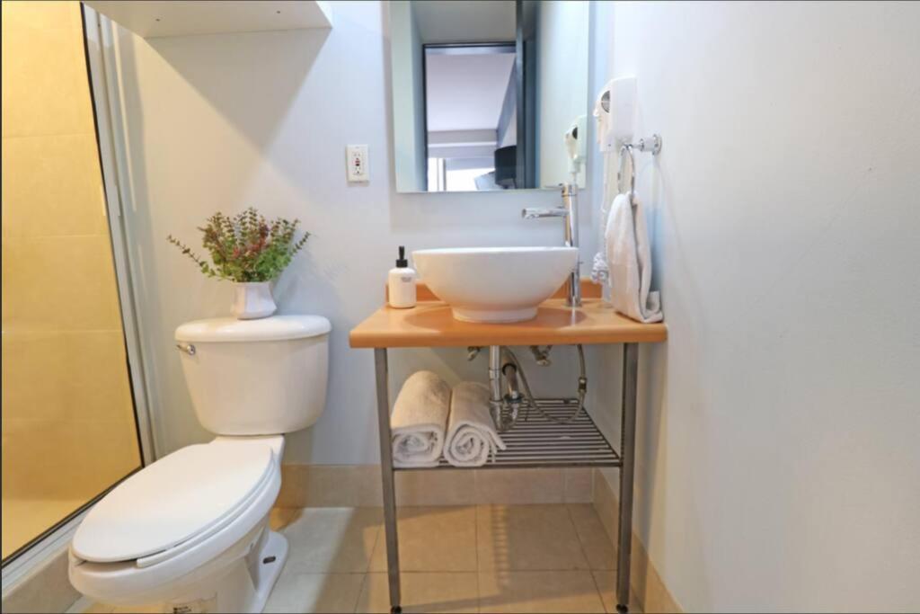 Downtown Pool & Gym Apartamento