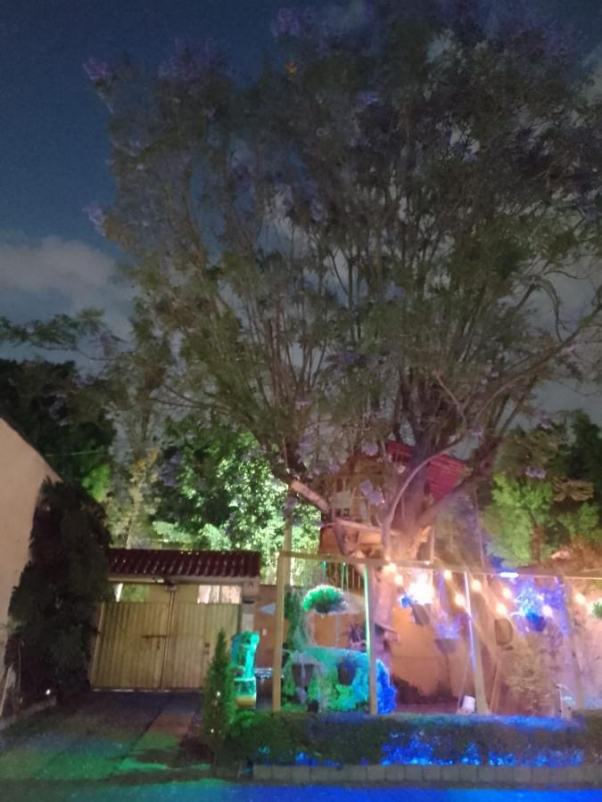 Casita Del árbol *