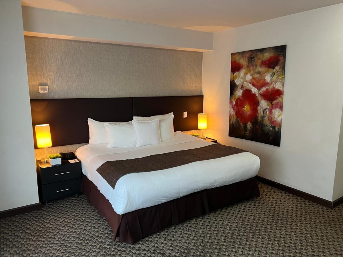 St Isidro Corporate Housing Spa & Wellness Center Hotel Mexico City