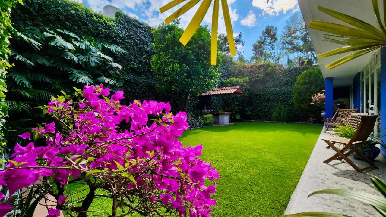 Guest house Casa Tamayo Mexico City