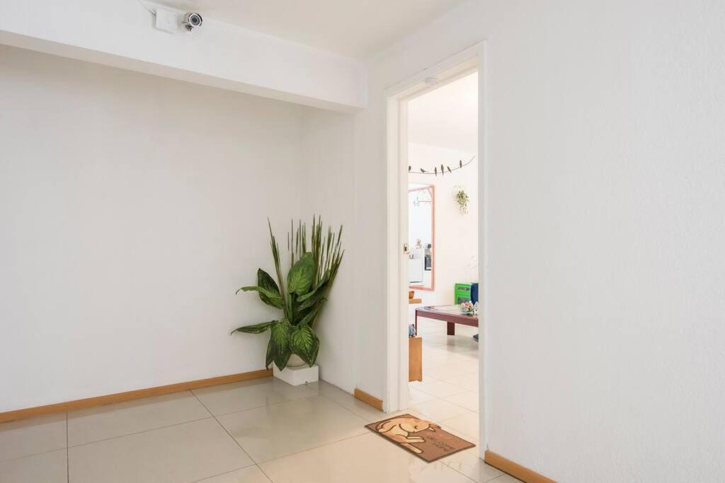 Apartamento Vive El Corazon De La Ciudad De Mexico