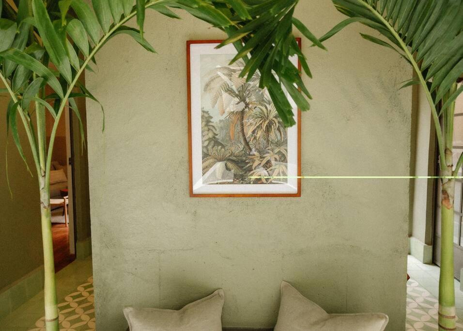 Apartment Kin Pech By Mr W Mexico City
