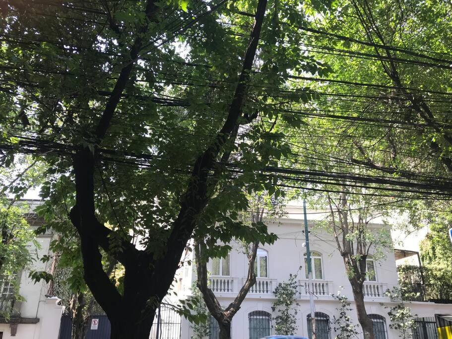 Apartment Excellent Location Renovated Apt. Roma/condesa 1 Mexico City