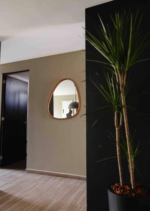 Mr W Design Location Condesa 702 Apartamento