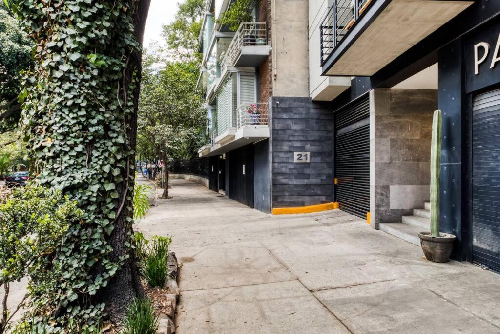 Mr W 2br Cozy 103 Mexico City