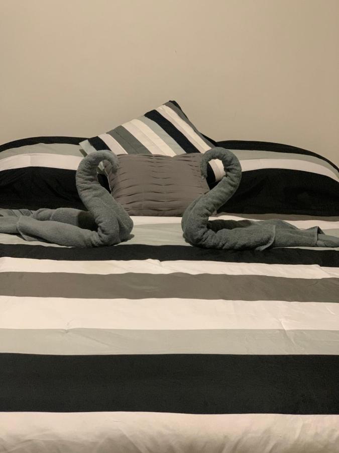 Hermoso Departamento En Coyoacan Apartamento