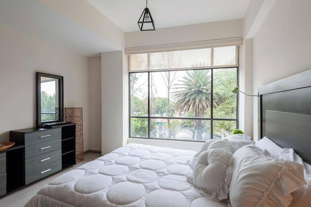 And Cozy Cdmx 1br