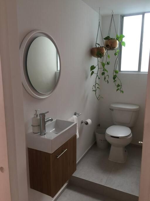 Cozy In Condesa's Heart ! Apartamento *