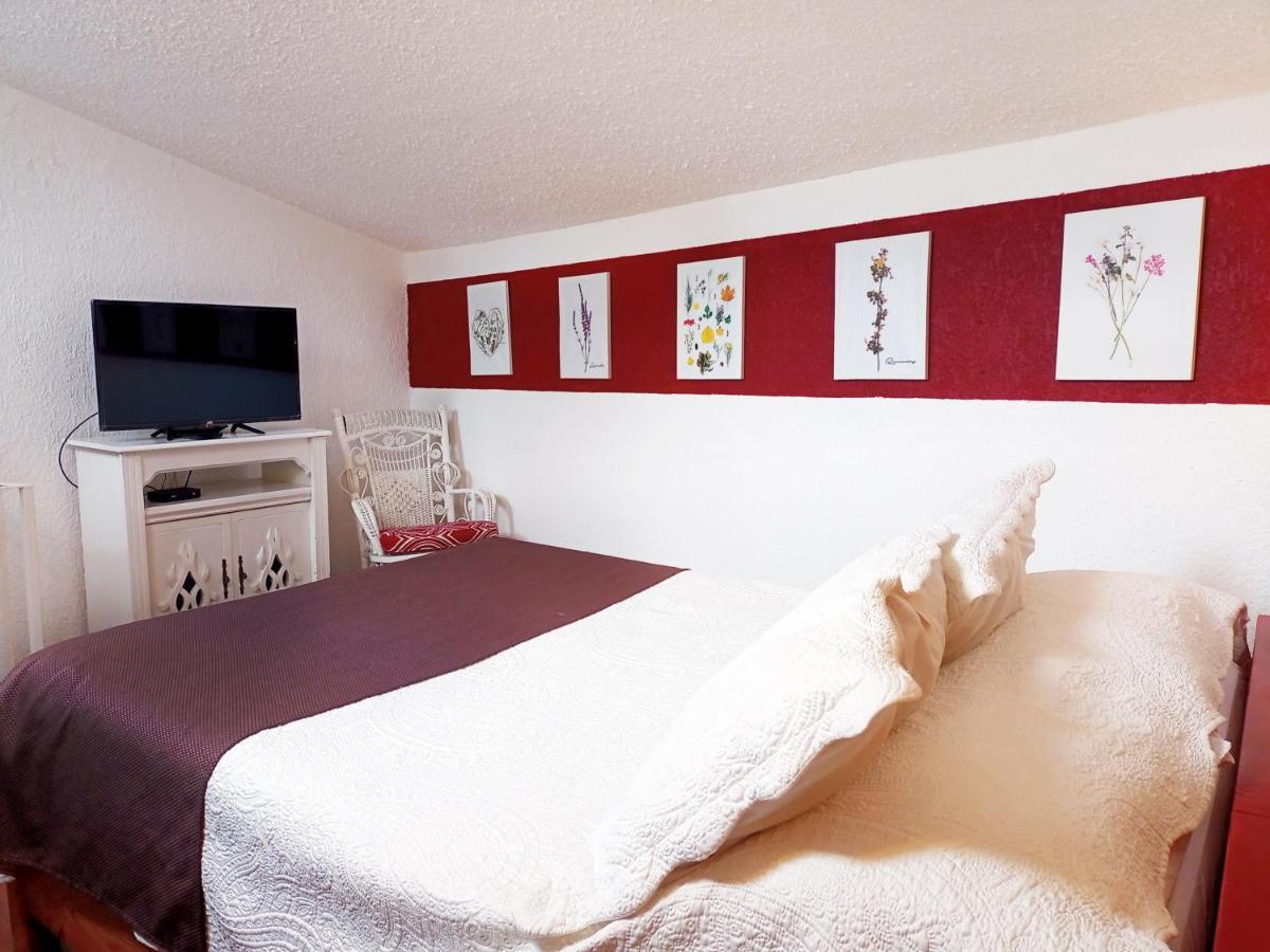 3c, Jacaranda, Garden House, Wewlcome To San Angel Apartment Mexico City