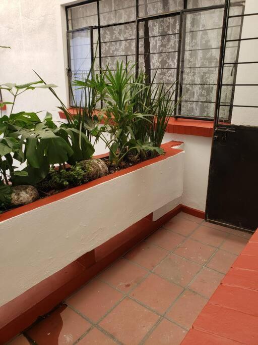 Con Terraza Privada Mexico City