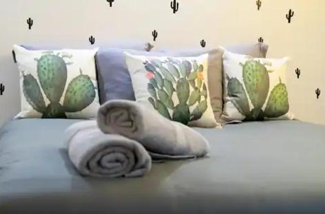 Once Upon A Time In - Kasa Kaktus Guest house Mexico City