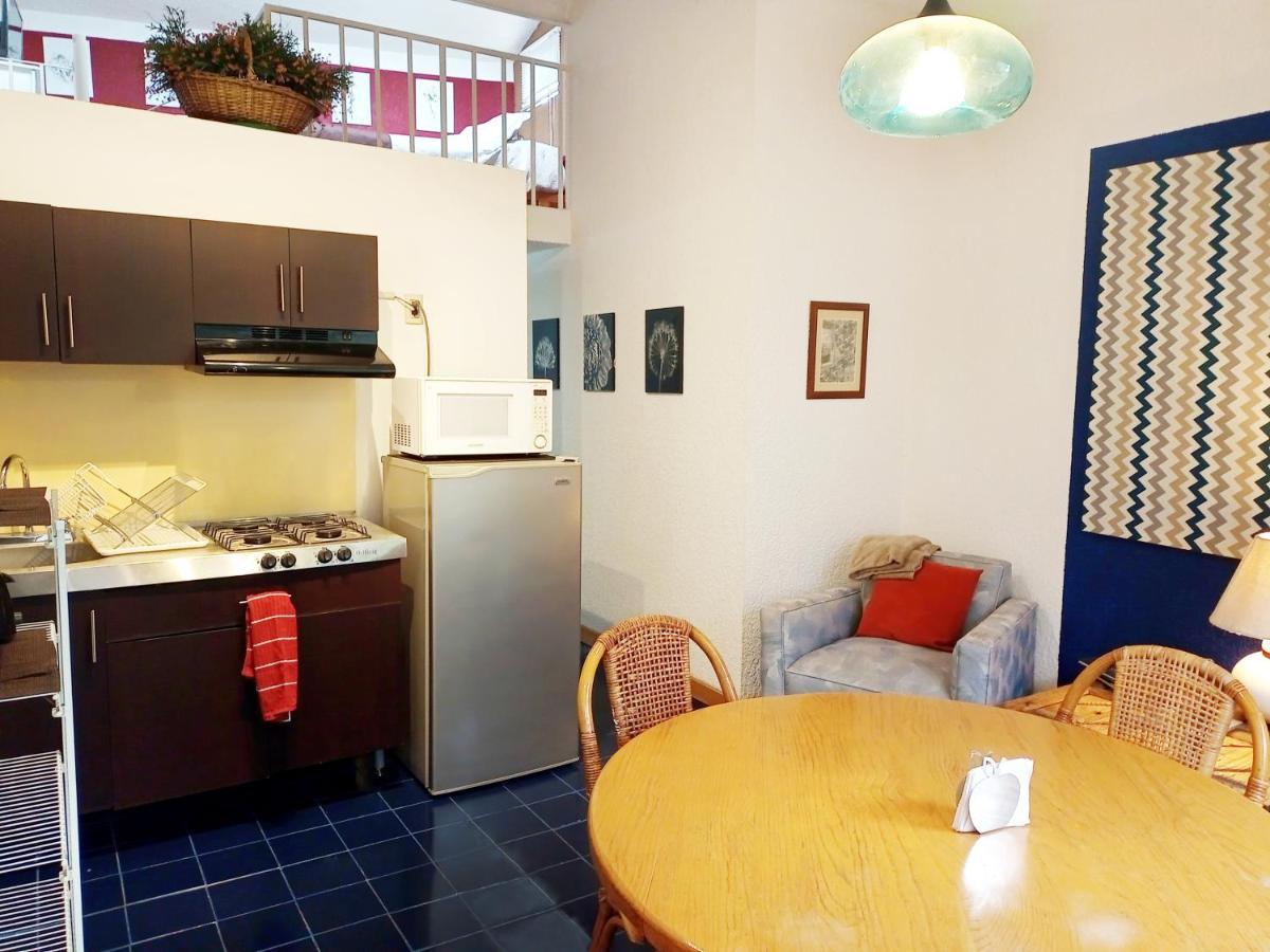 1-a Monasterio Garden House Welcome To San Angel Apartment Mexico City