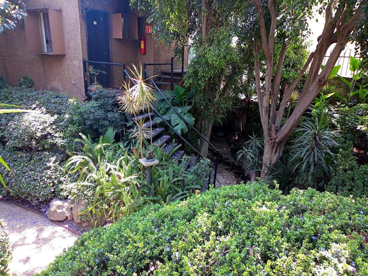 1-a Monasterio Garden House Welcome To San Angel * Mexico City