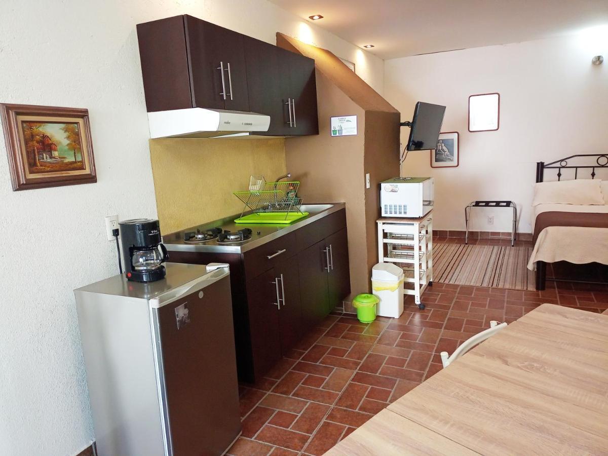 1-a Monasterio Garden House Welcome To San Angel Apartment Mexico City
