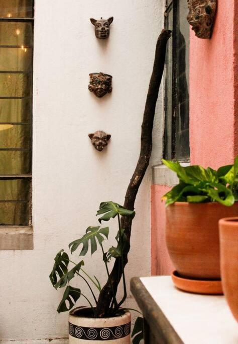 New Mex Inspired Bo-ho Chic With Private Patio And Roof Terrace Cidade do México