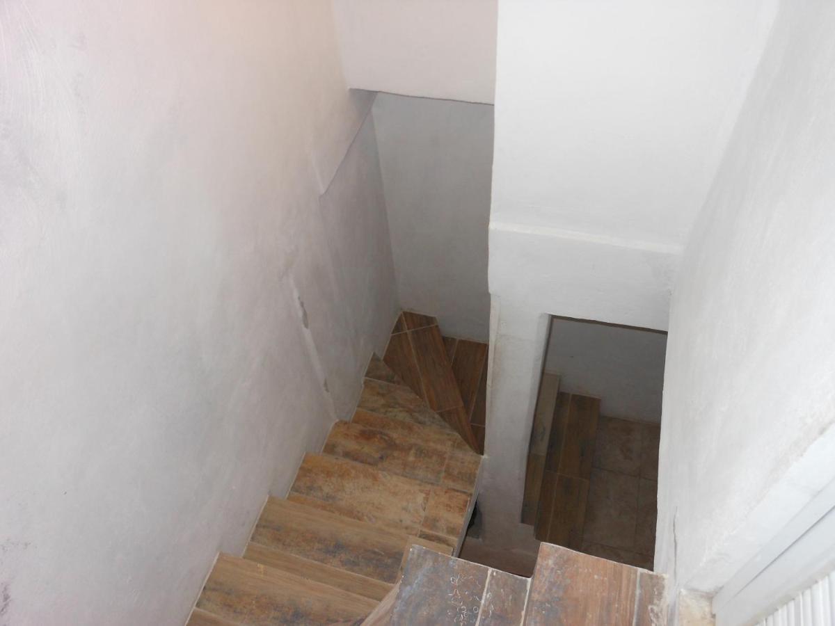 Apartment Tomas Wilson Mx *