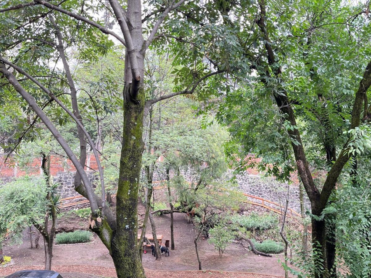Сasa de vacaciones Mi Refugio San Angel