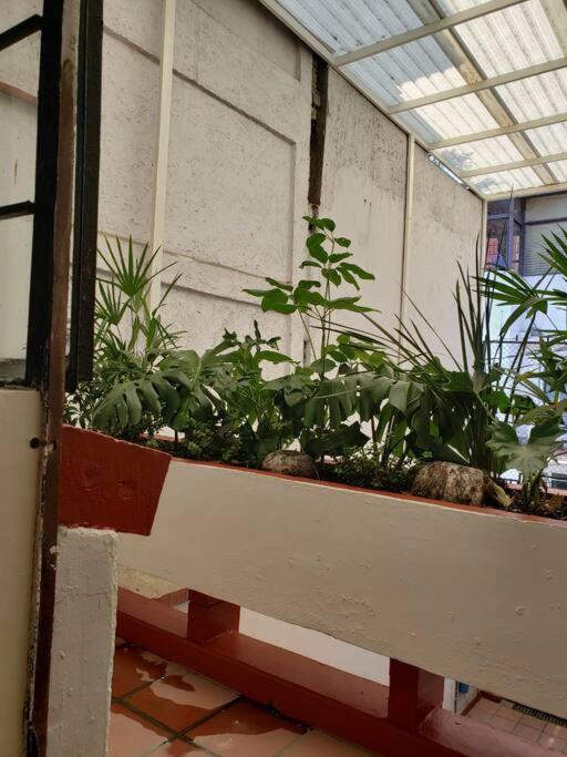 Con Terraza Privada Mexico City