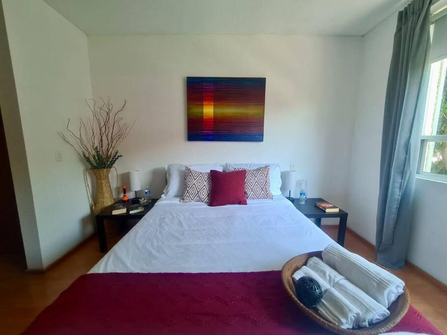 Excelente Departamento En La Condesa * Mexico City