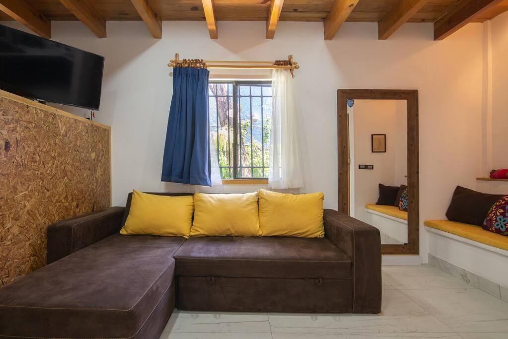 Ursus, Mi Casita En Mexico