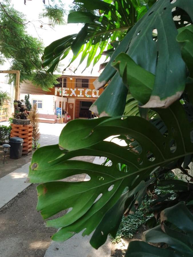 Casita Del árbol * México DF