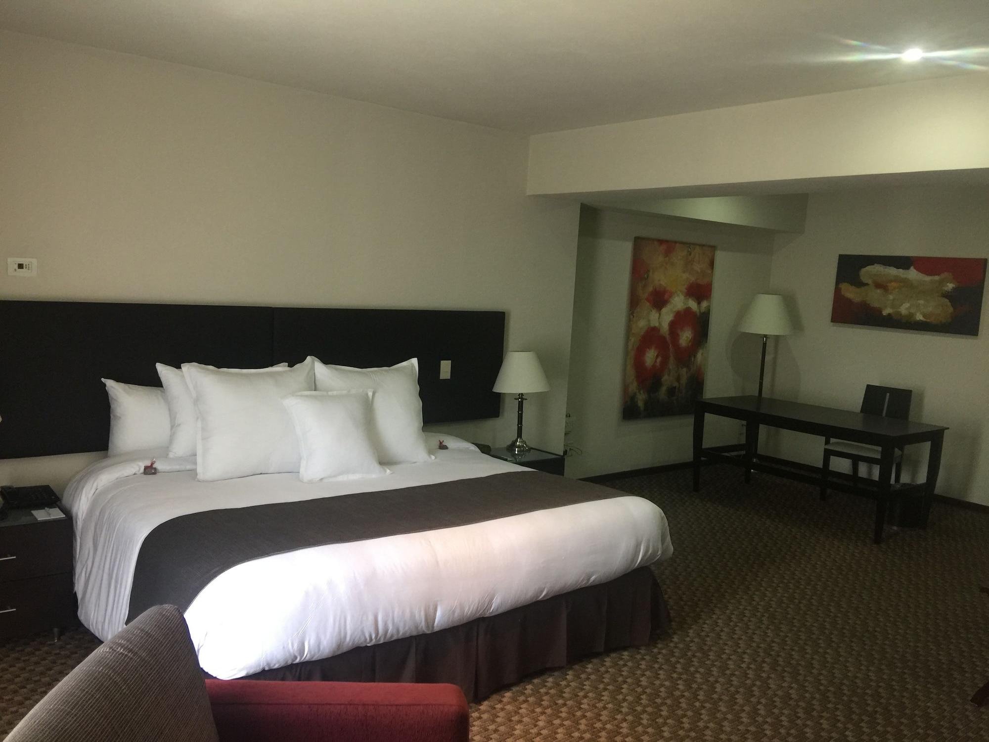 Hotel St Isidro Corporate Housing Spa & Wellness Center Mexico City